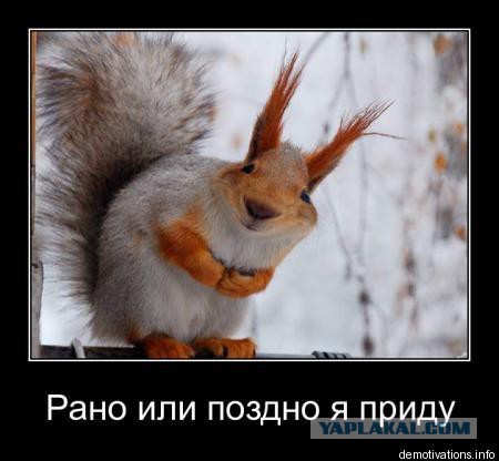 Фотографии из соцсетей