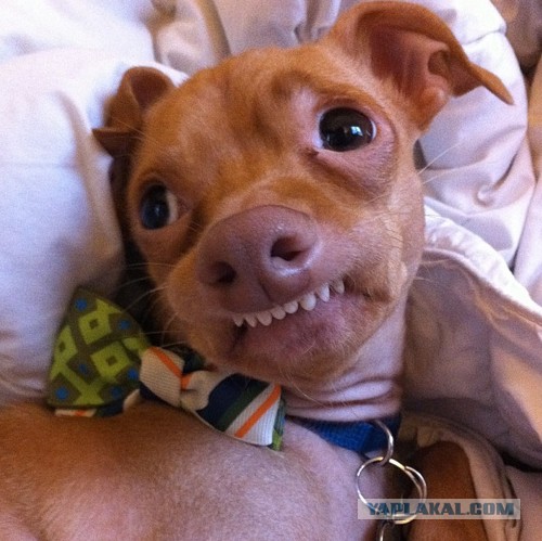 Пилот ВВС Чурбаков Максим - столкновение с НЛО.