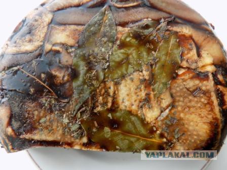 Психокулинария. День открытых дверей.