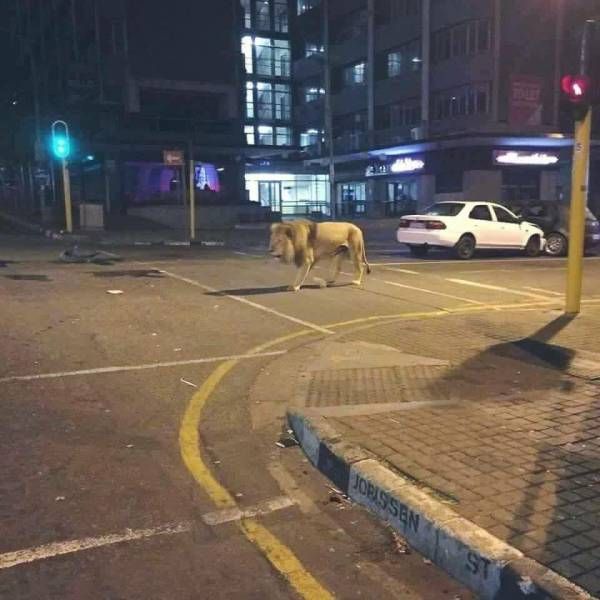 Веселые и интересные картинки