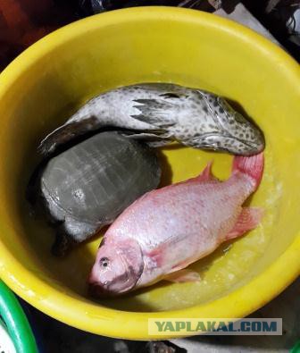 Автостопом из Москвы в Юго-Восточную Азию