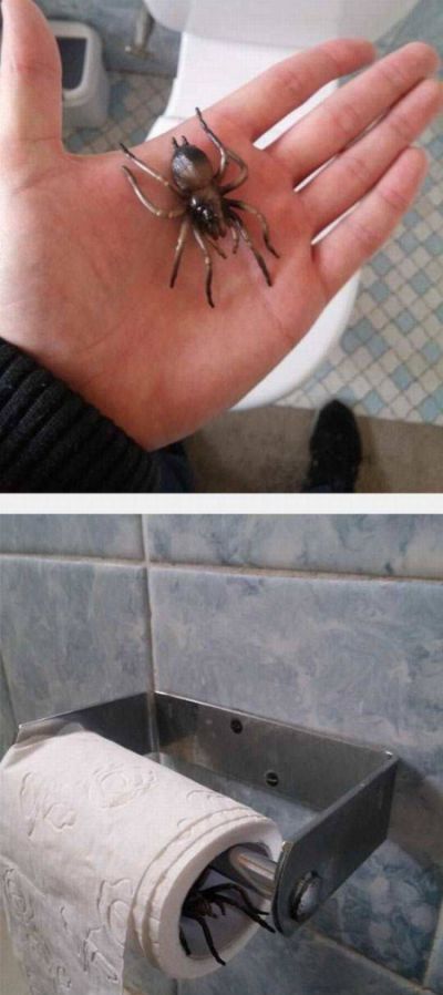 Картинки разные.