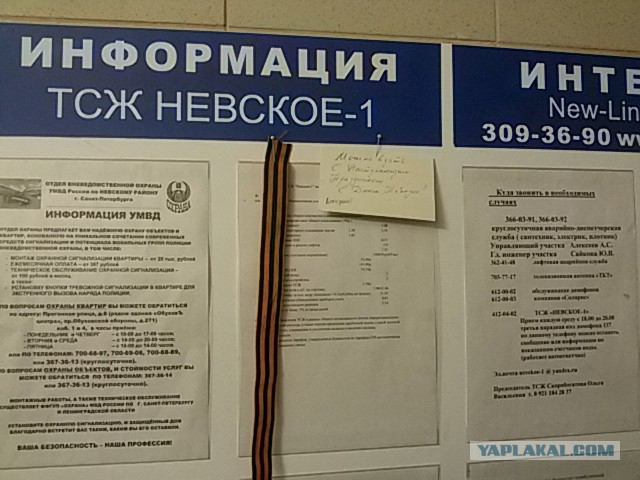 Пучок разных фотографий с телефона.
