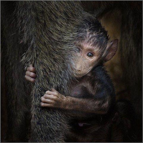 А что это вы здесь делаете?