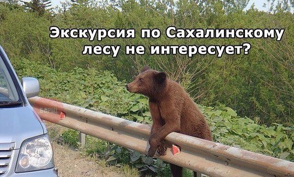 Картинки с надписями