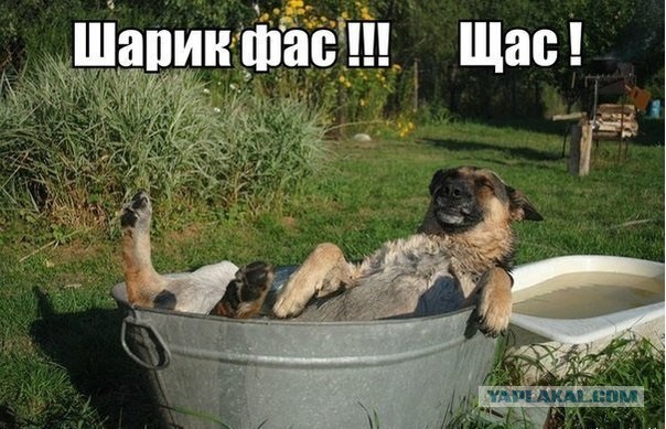 Немного картинок на выходные     20 шт