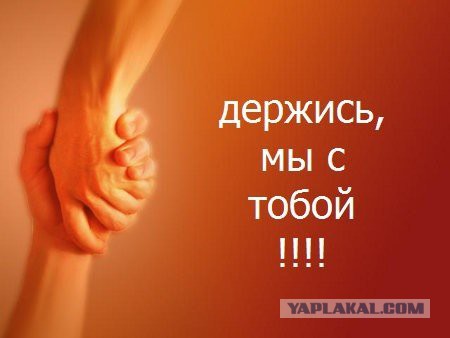 Синдром быдла