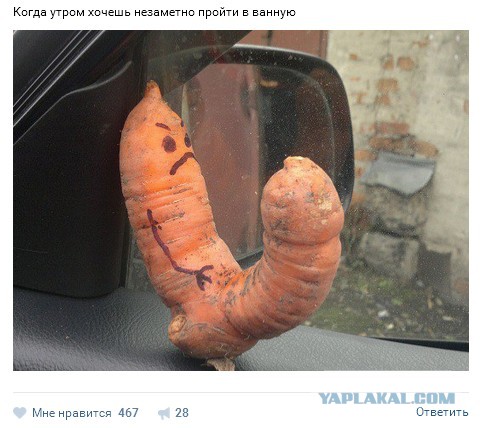 Ужасы и приколы из соцсетей 18+