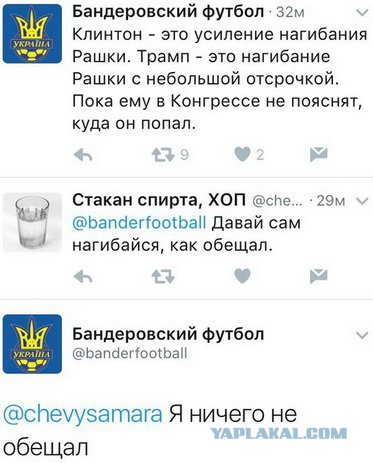 Смешные комментарии из социальных сетей 11.11.2016