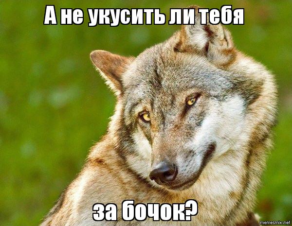 Снег. Лес. Волки. Фотоаппарат.
