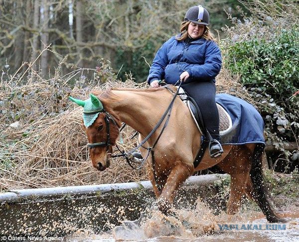 Жительницу Великобритании затравили в соцсетях за издевательства над лошадью