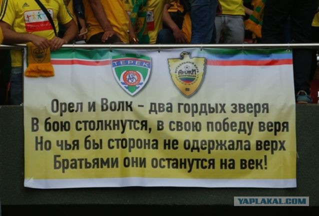 Жители села в Дагестане отомстили волку, убивавшему сторожевых собак