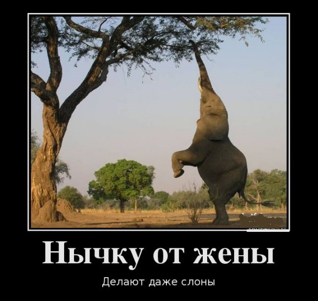 Картинки в черных рамках с подписями