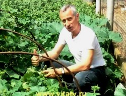 А никто не знает какого-нибудь необычного способа нажраться?