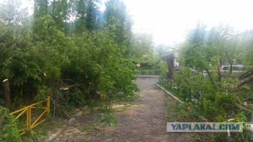 В Москве ураган!