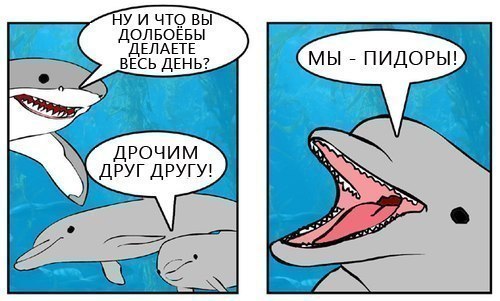 7 самых известных мифов на тему выживания, которые легко вас погубят