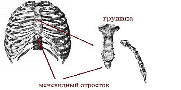 Тест на смекалку "Аллегория анатомии".