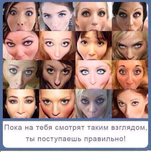 Ежиково молоко. Осторожно 18+.