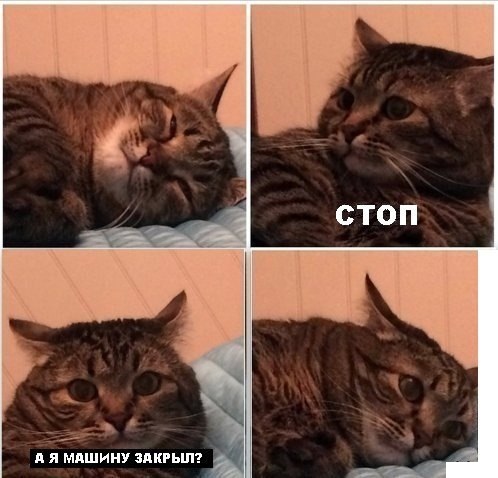 Центнер Идиотизма