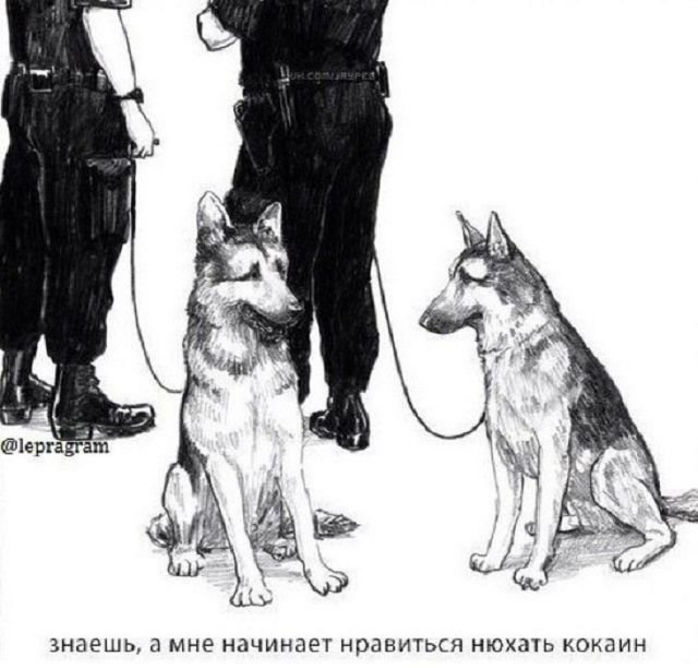 Нестандартный юмор