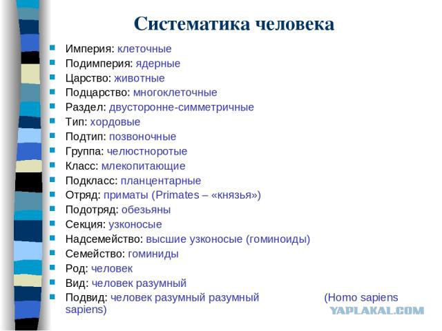 Камчатскую радиоведущую отстранили от эфира за сравнение 74% россиян, голосовавших на выборах за Путина, с приматами