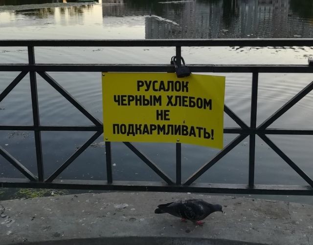 Подборка интересных и веселых картинок