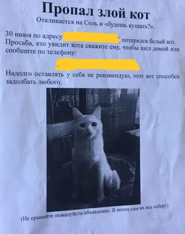 Подборка интересных и веселых картинок