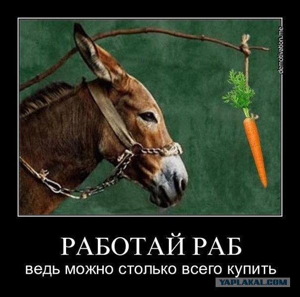 Не тварь дрожащая, право имею?!