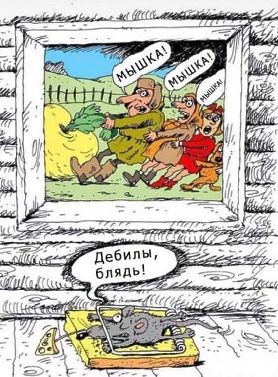 Немного картинок на вечер