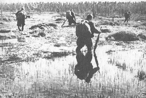 Финские диверсанты добрались до Вологодской области, лето 1943 года