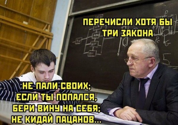 Пикчерз (Картинкас) Лучшая самка и парк весёлых приключений!