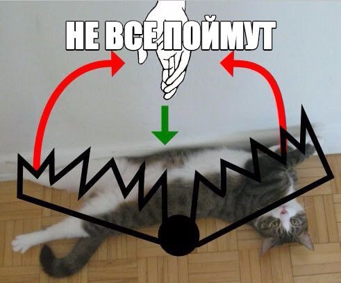 Немного картинок для настроения 12.02.20