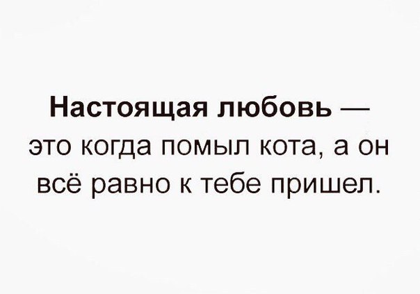 Прикольные картинки 15.02.2020