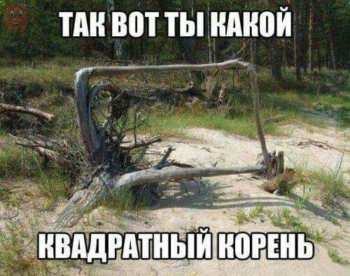 Так себе картинки #14