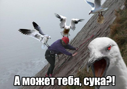 ⚡ Сайту Yaplakal.com сегодня 16 лет!