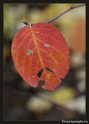 Бредзона 15.10.20