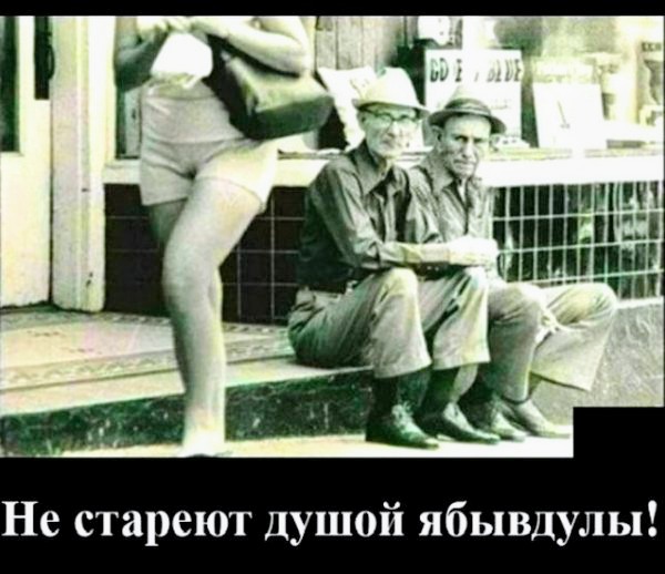 Немного картинок для настроения 02.11.20