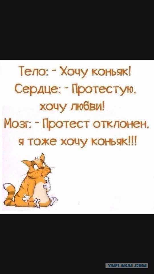 Алкопост 12.12.20