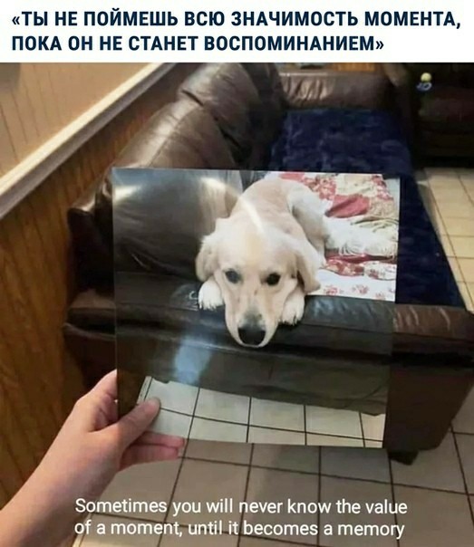Подслушано из грязной жизни #2