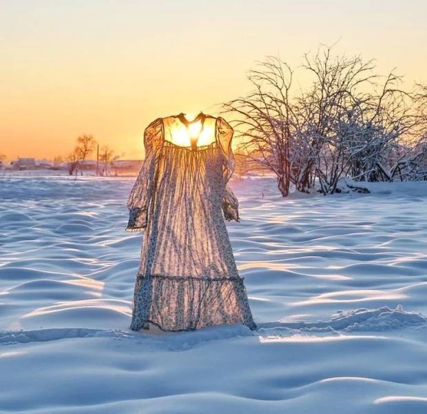 Давно не было солянки из картинок