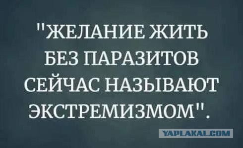 Так себе картинки 13.04.21