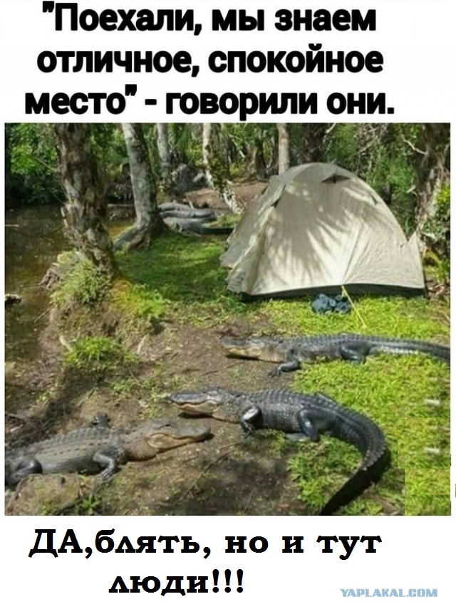 Картинки с надписями и всякие жизненные фразы