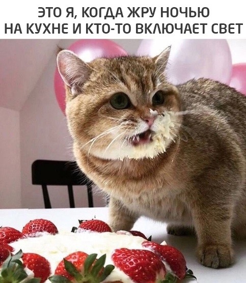 Весёлые картинки 26.05.21