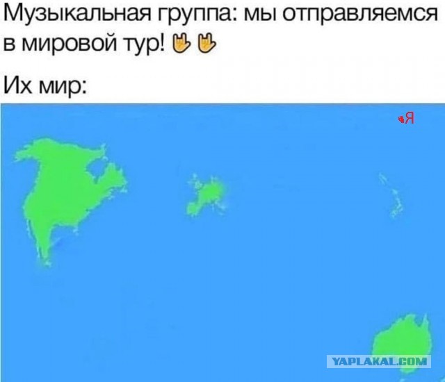 Тук тук тук! это деградация нах...