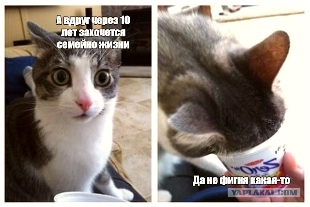 Одиночество сволочь