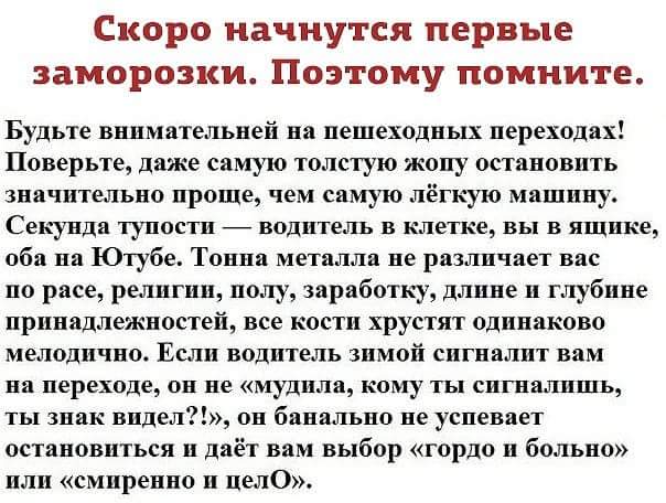 Весёлый полтишок 31.08