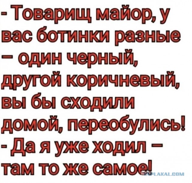 Баянисто-небаянистый юмор 30.11.21