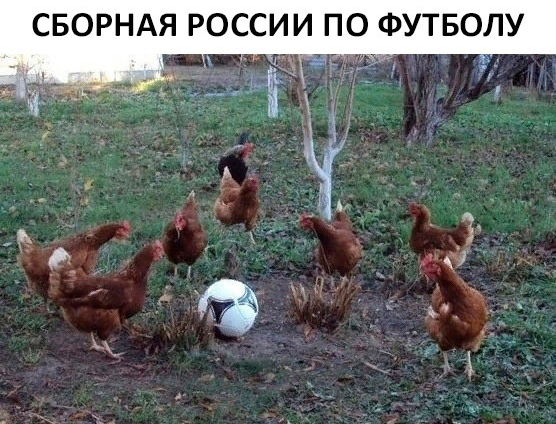 Тот самый бухой мужик, который просит разок ударить по мячу