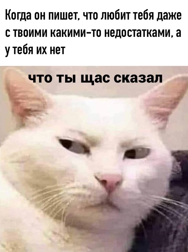 "Купил коту игрушку" и другие картинки