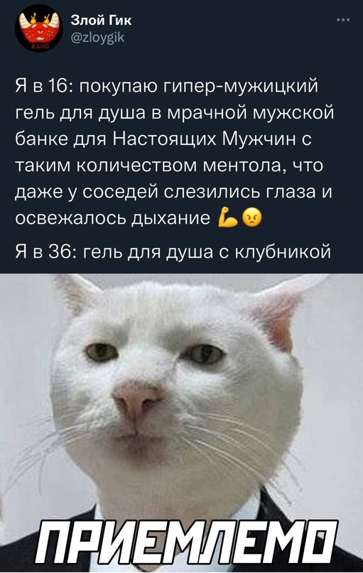 Весёлый полтишок 13.12